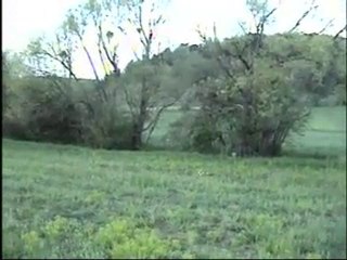 Bu şehrin sokakları