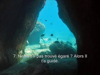 Sourate 93 Le jour montant (Ad Duha)