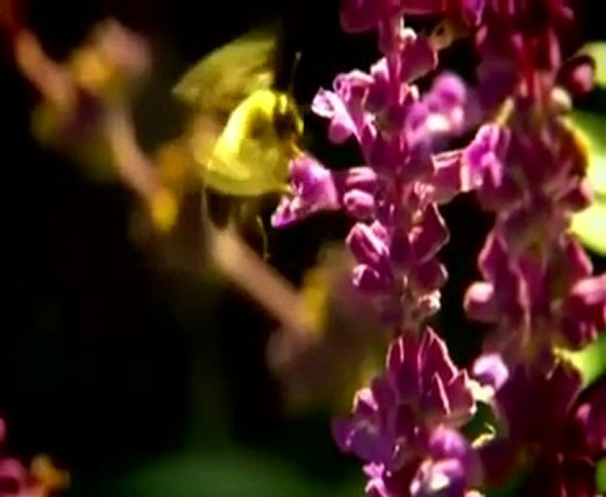 Chemtrails, une vérité qui dérange