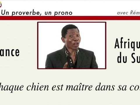 Un proverbe, un prono : France-Afrique du Sud
