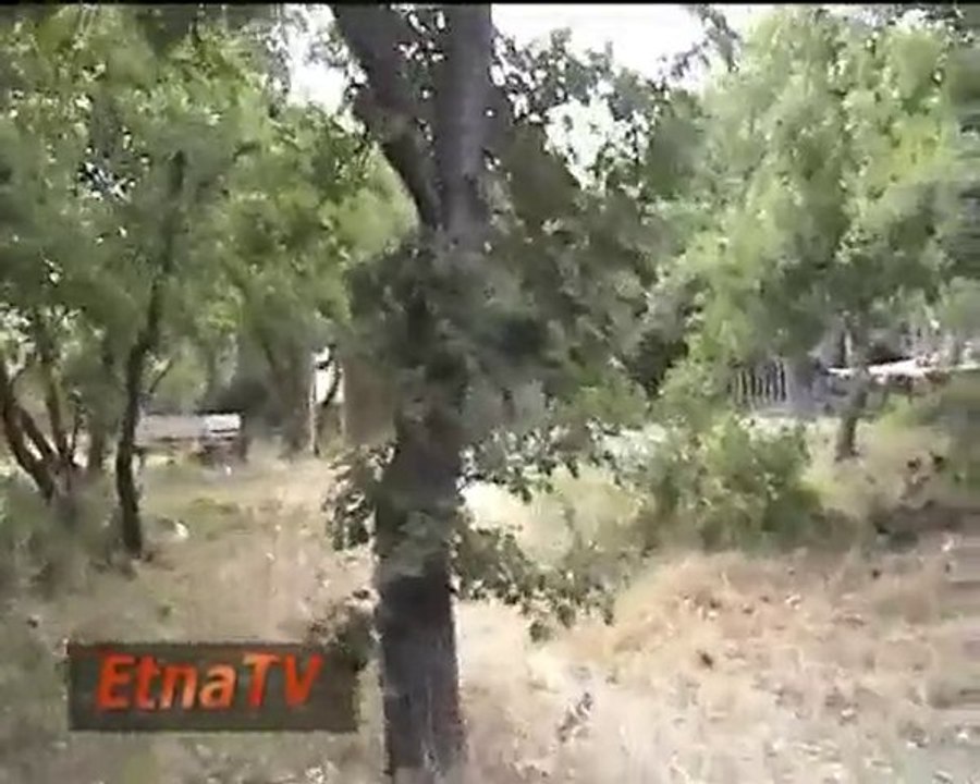 ETNA - PARCO MONTE CERAULO a Mascalucia