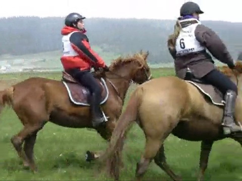 endurance Matemale 2010