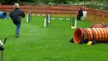 Jumping L1 Chester - Altavilla le 18 juin 2010