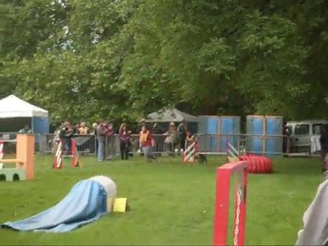 Concours d'agility Chambéry 2010