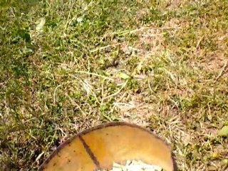 ma belle je t 'aime à en mourir