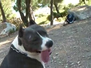 Draft et Keyzer au pierres blanche