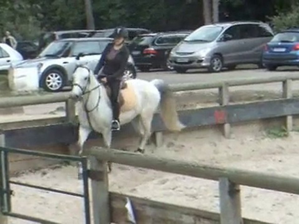 Lutig et moi galop 4 /part. dressage