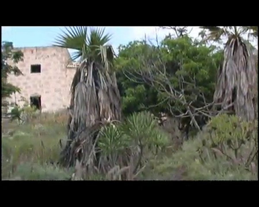 Grupo de Airsoft Praetorians vs Grupo de Airsoft Escorpiones