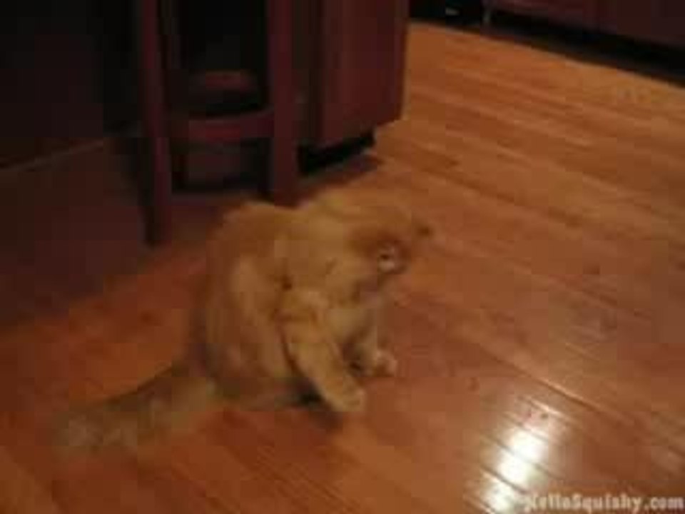 Chat joueur