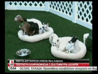 pagritianews.gr- Σκυλιά κληρονόμησαν 3εκ. δολάρια