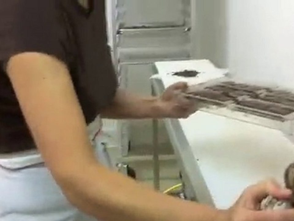 The Vegetarian Guy introduces Guanni Vegan Chocolates