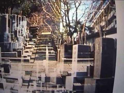 VertiKal: Regards Urbains