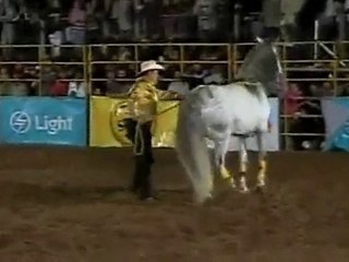 Atrações da Exposição de Rio Claro/RJ