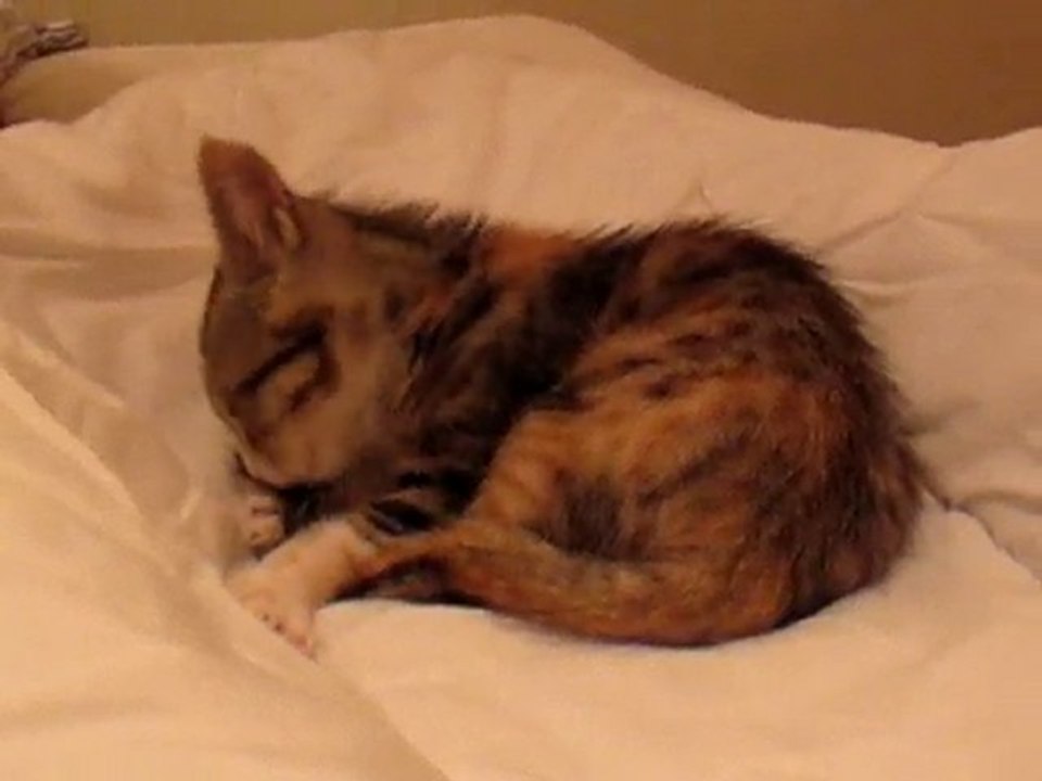 MIA