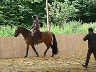 Stage avec José Manuel Correia Lopes