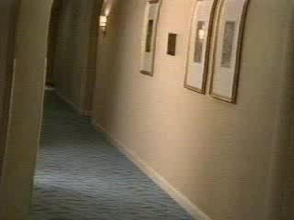 Vacances sous les tropiques