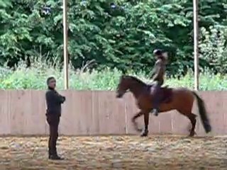 Stage avec José Manuel Correia Lopes