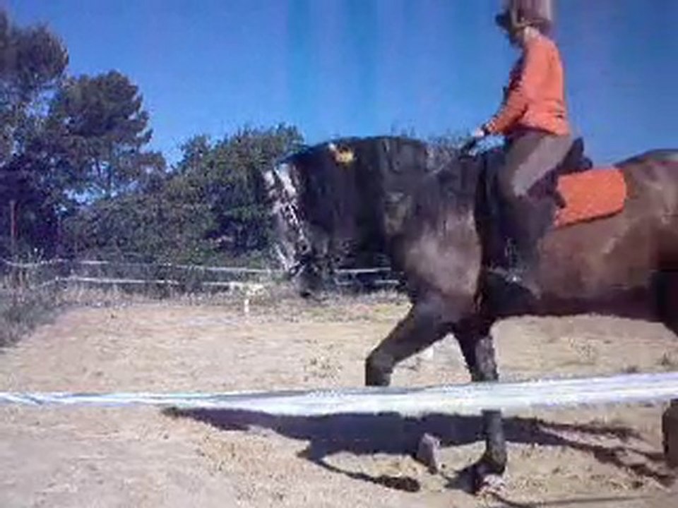 Galatéo séance du 22.06.10