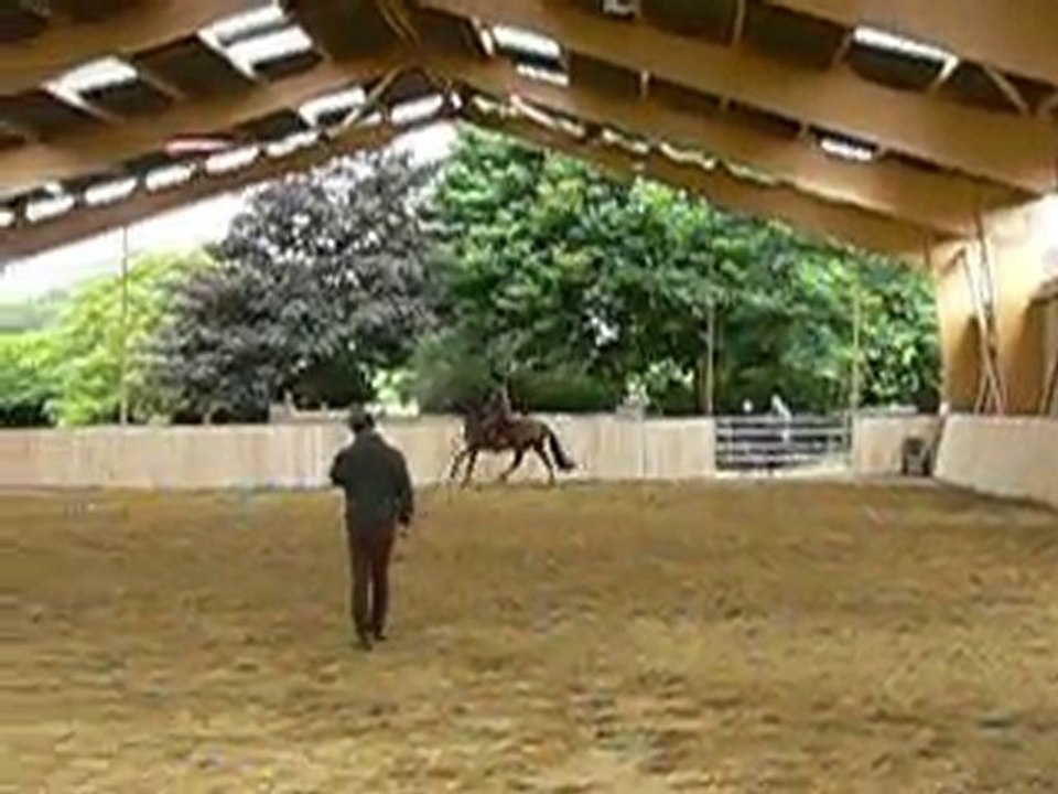 Stage avec José Manuel Correia Lopes