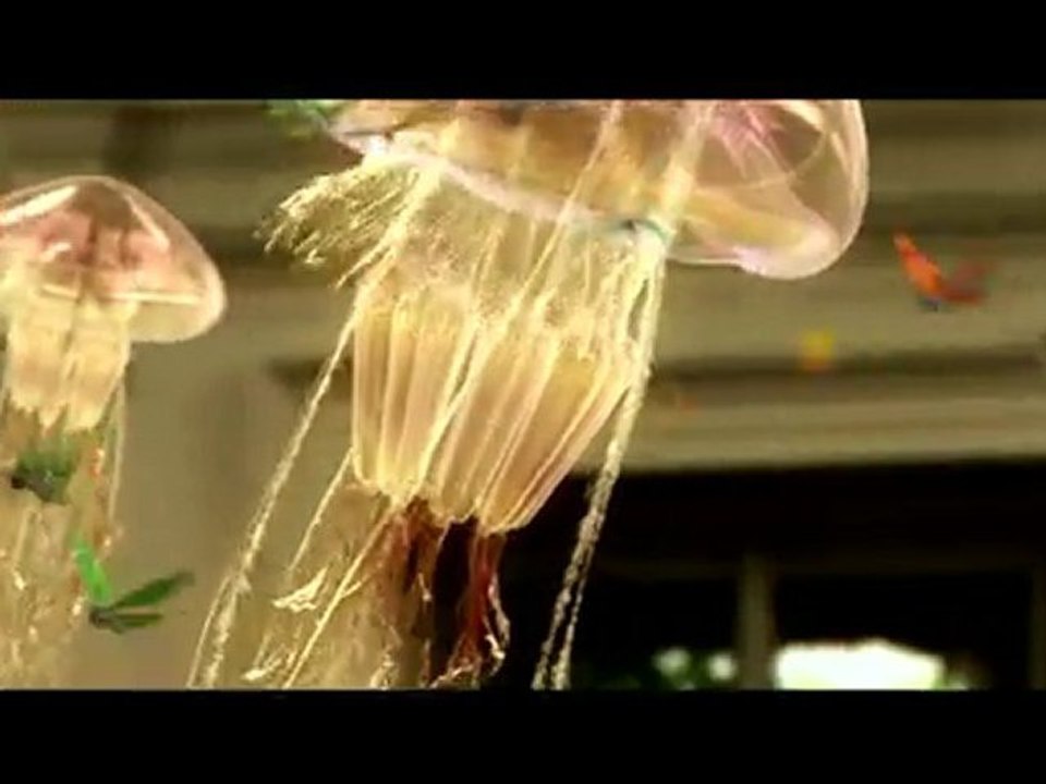 Pub Cahiers OXFORD - La fille dans l'escalier - music Flairs