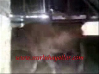 Allah diyen boga - KeRvAnCaN