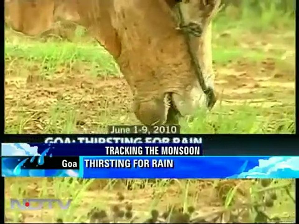 Beautiful Fields of Goa in the rains