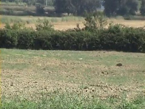 AIRGUN SHOOTING ON DISTANCE 200 METERS (218 yards)