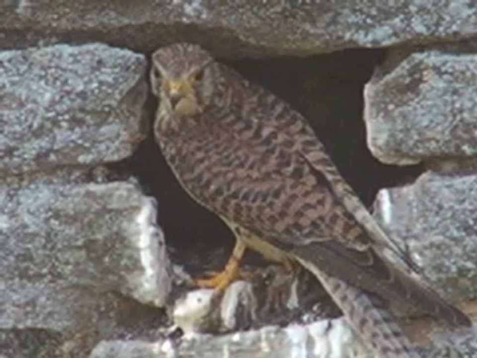 Une semaine après, ils ne sont déjà plus les mêmes...