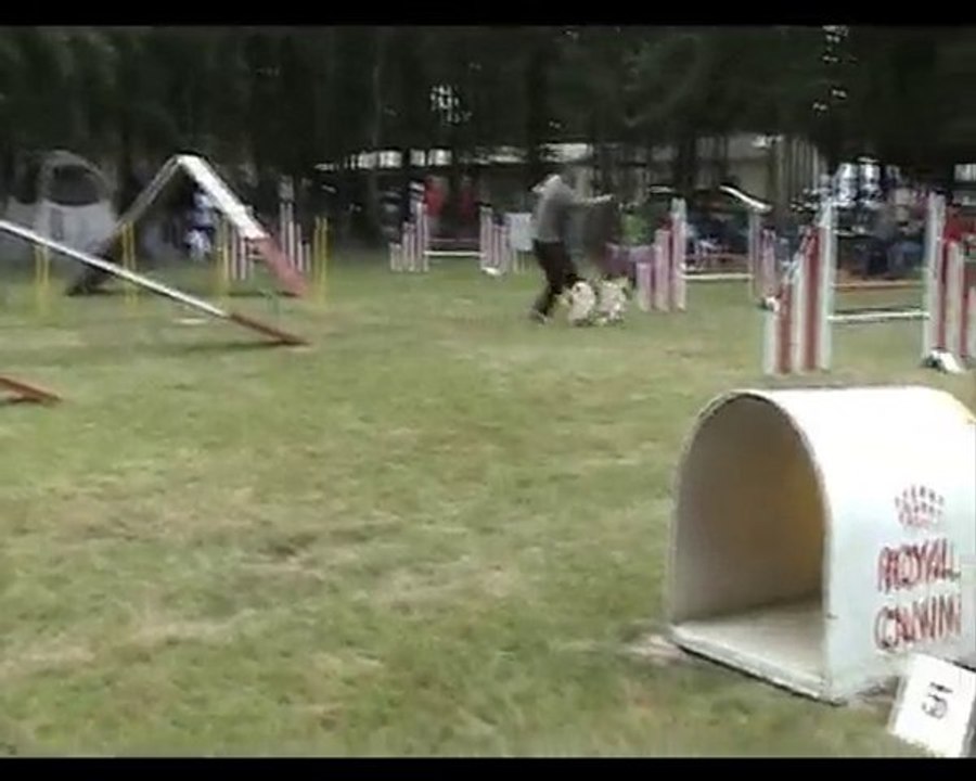 LA RENAUDIERE AGILITY - 3EME DEGRE - WINNETOO - 20 06 2010
