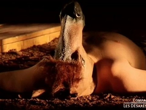 Des couteaux dans les poules_Cie Les Désaxés Théâtre