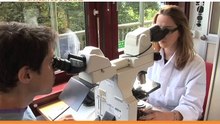 Le cancer de l'ovaire