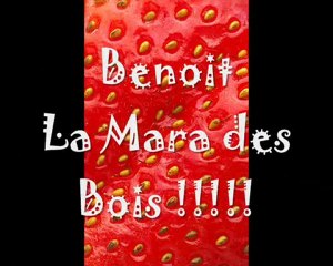 Nouvelle Star à Saint Jean de Monts