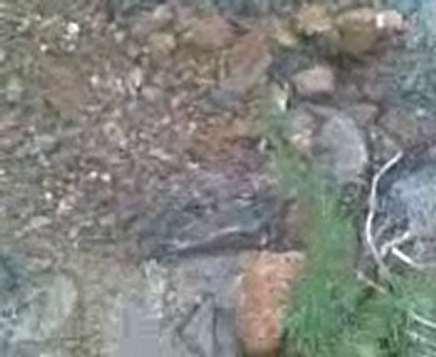 Ra3nassare.talilite bni oulichek nador  rif maroc.+