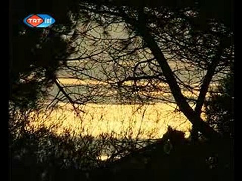 Ali Ekber Çiçek ve Haydar Haydar