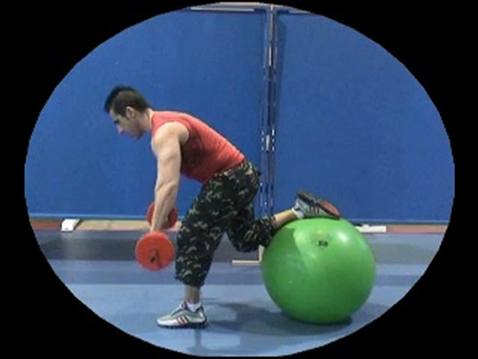 EXERCICES RENFORCEMENT HAUT DU CORPS AVEC SWISS BALL