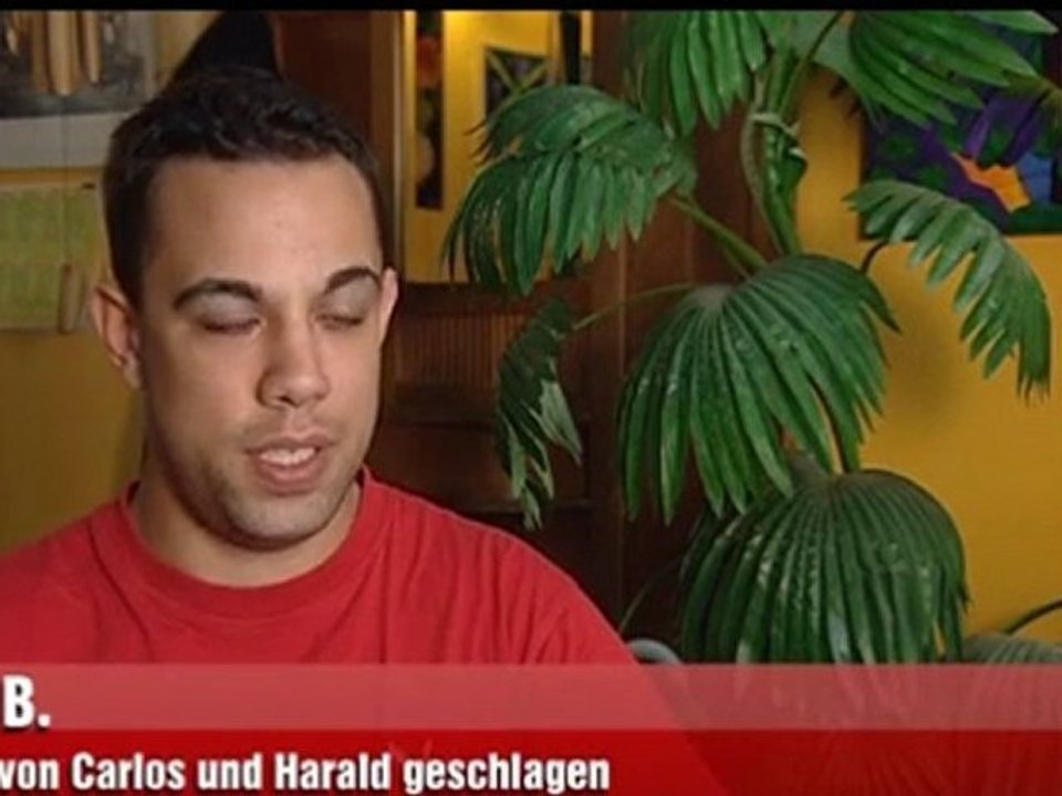harald_nimmt_stellung