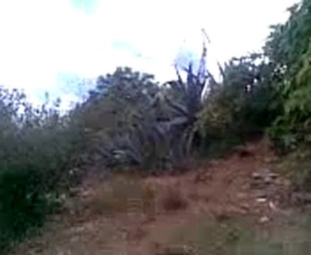 talilite bni oulichek nador rif