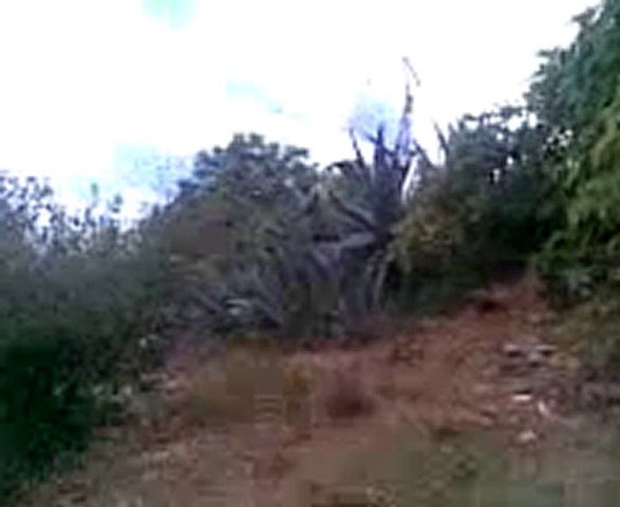 talilite bni oulichek nador rif