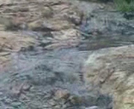 talilite bni oulichek nador rif maroc