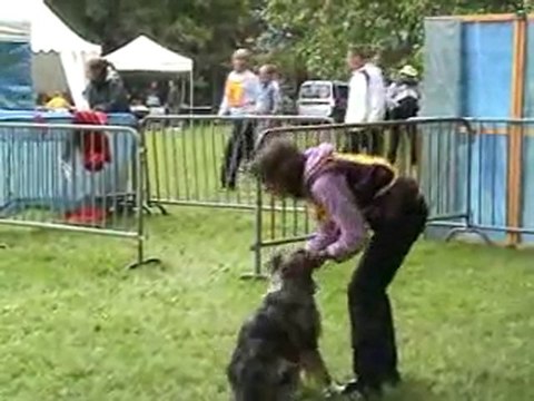 2010_06_30 Chambéry concours agility Douchka
