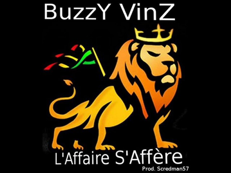 BuzzY VinZ - L'affaire S'affère