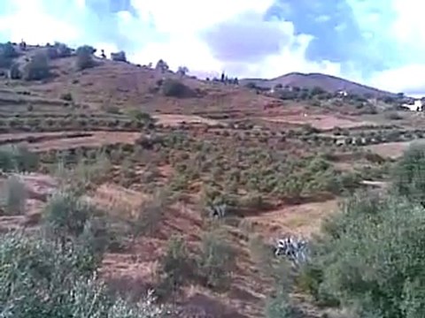 Talilite.+bni oulichek nador