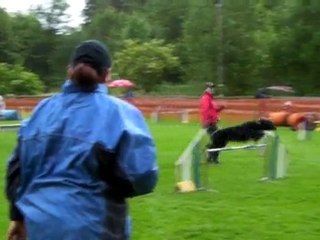 Jumping LA Bono - Altavilla le 18 juin 2010