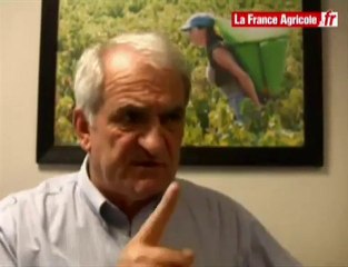 Caves coopératives : l'OCM vins est un marché de dupe