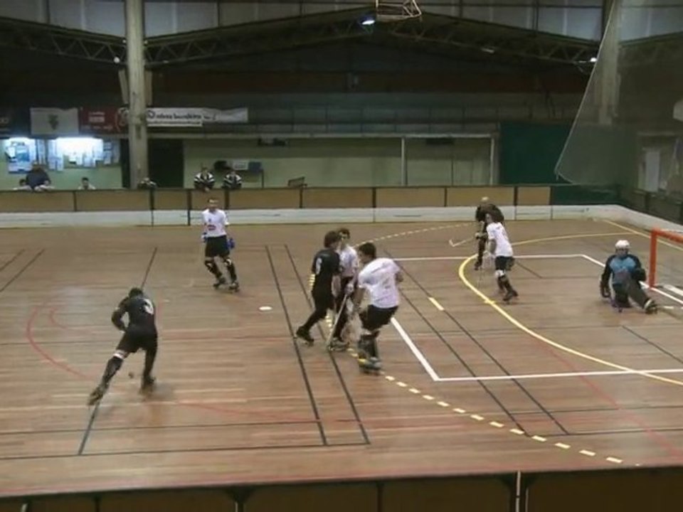 Le hockey sur roulettes: viva Portugal