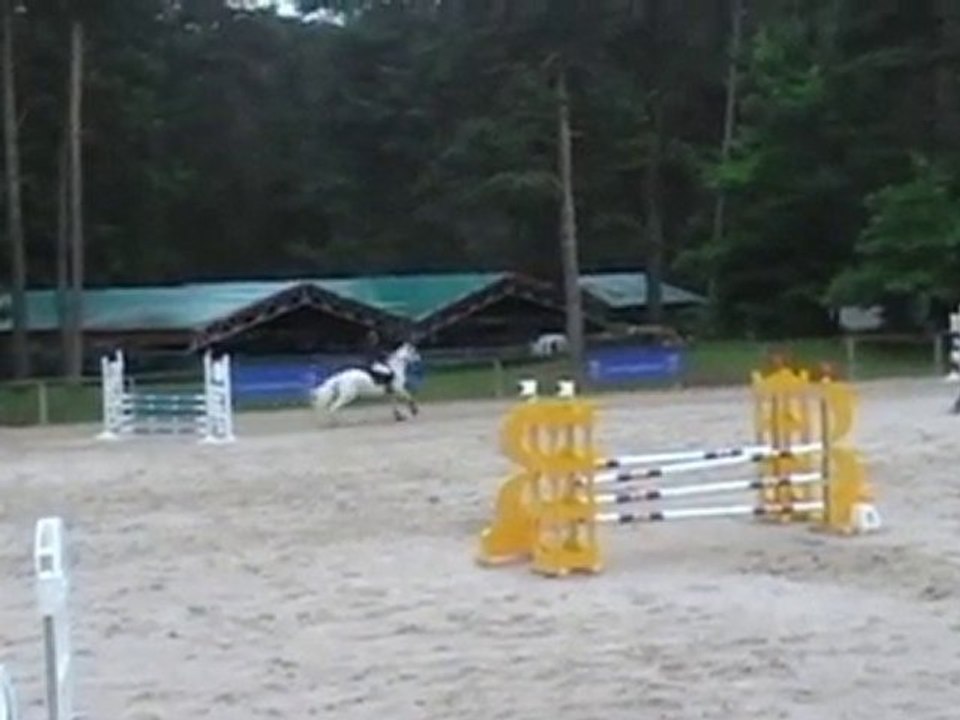 finale regionale fbleau 2010