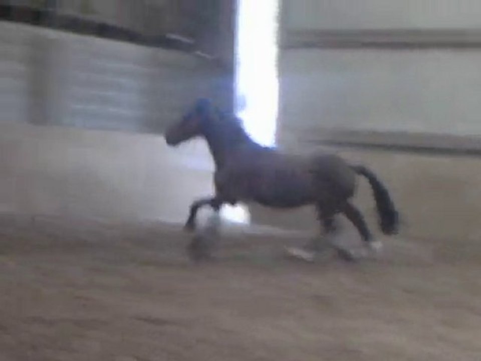 travaille en liberter avec malibu