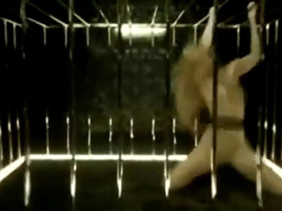 Lady GaGa, Shakira, Pitbull, Madonna, David Guetta feat Akon