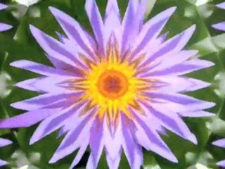 Kemikalier Sjælland København Basf A/S