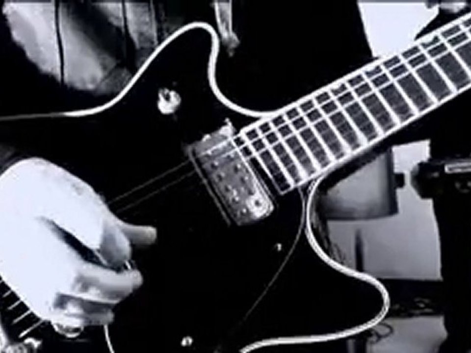 DRAGONS -  here are the roses